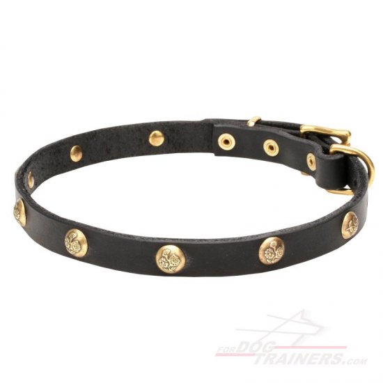 where to buy dog collar hardware