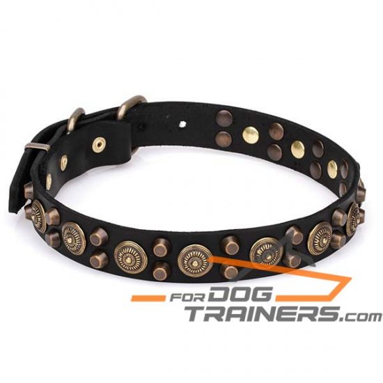 30 inch dog collar hotsell