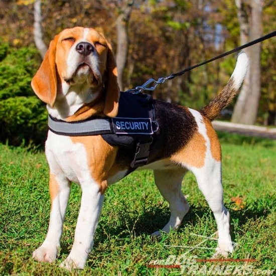 Nylon Beagle Harness with Reflective Strap for Training Walking Police Service SAR and More