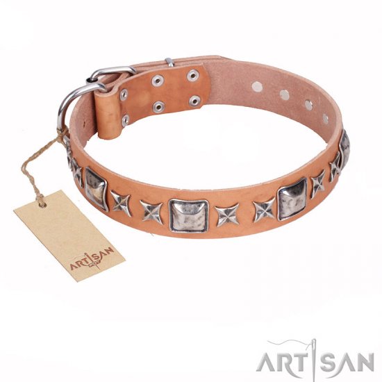 Leather pinch shops collar