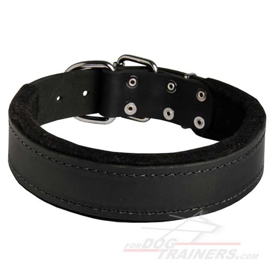 1.5 inch leather dog collar best sale