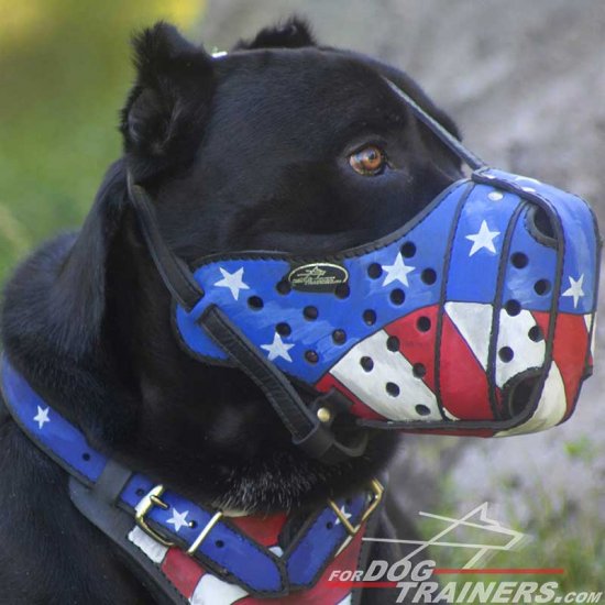 dog muzzle for cane corso