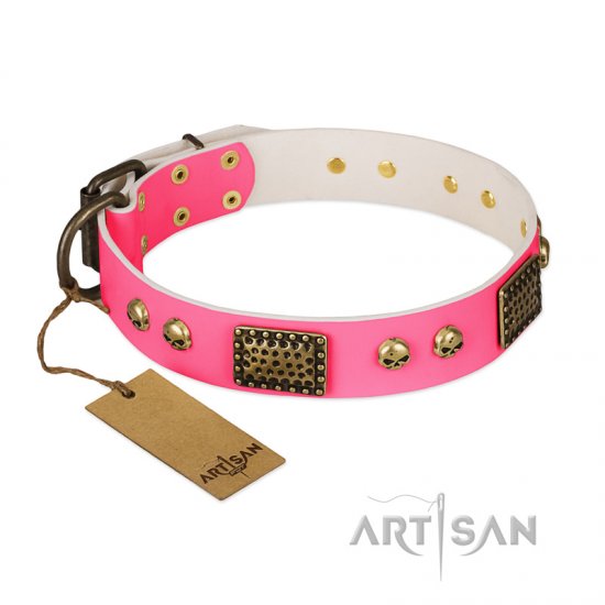 Collar glamour dog best sale