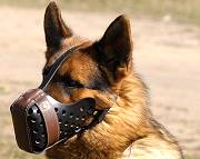 German Shepherd Muzzle