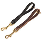 Easy fast Garab Dog Leash