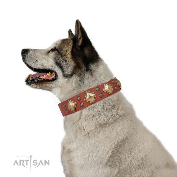 Akita Inu impressive full grain leather dog collar with adornments