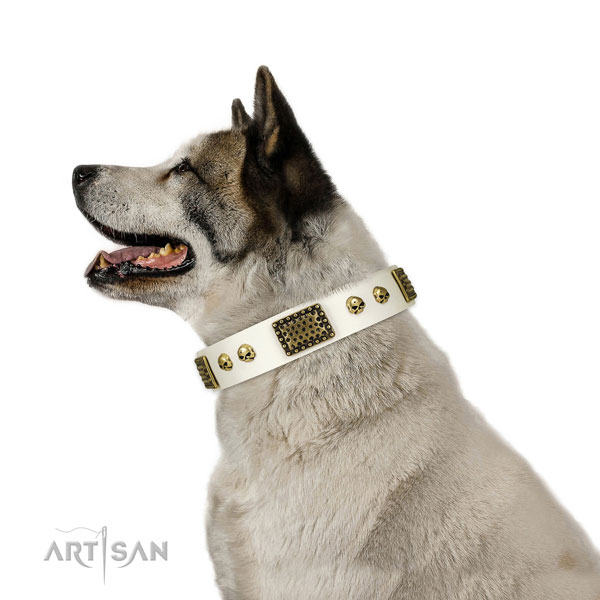 Akita Inu daily use dog collar of exquisite quality genuine leather