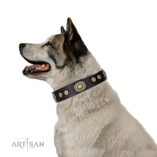 Akita Inu extraordinary genuine leather dog collar with adornments