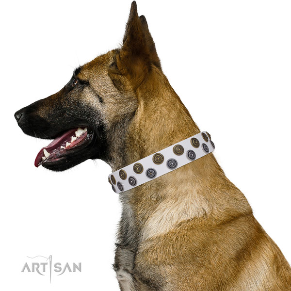 Belgian Malinois best quality full grain natural leather dog collar with decorations