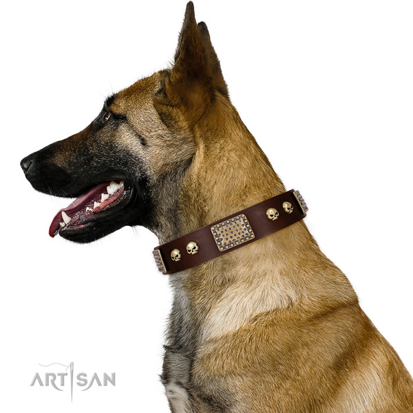 Belgian Malinois handy use dog collar of designer natural leather