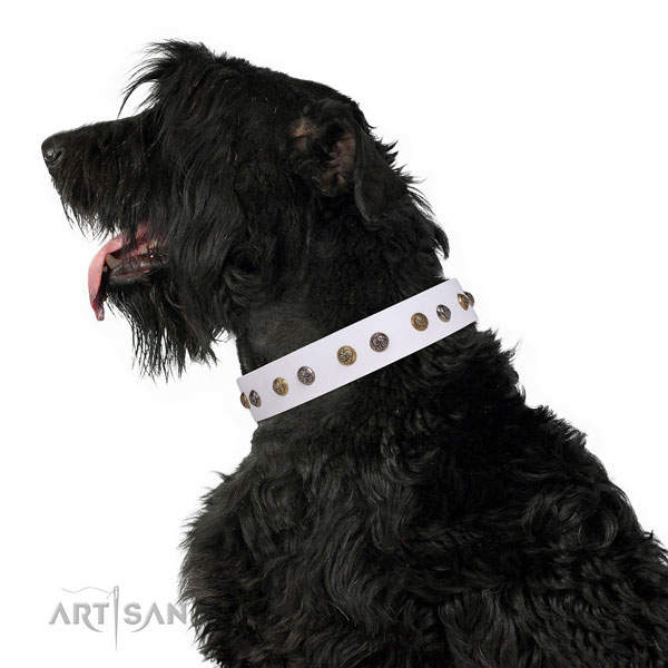Black Russian Terrier awesome genuine leather dog collar with adornments