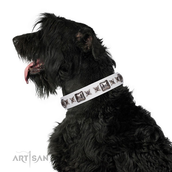Black Russian Terrier exquisite natural genuine leather dog collar with embellishments