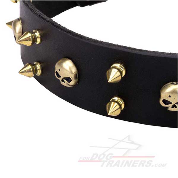 Stylish decorated spikes and skulls collar