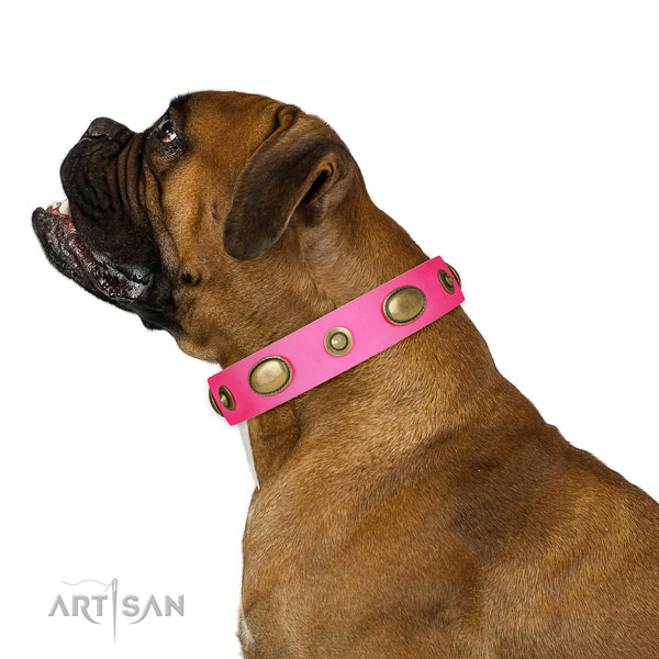 Boxer basic training dog collar of exceptional quality natural leather