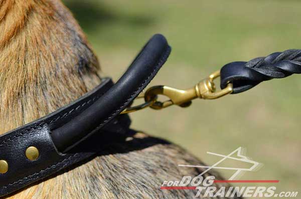 Brass D-ring on Protection Training German Shepherd Leather Collar