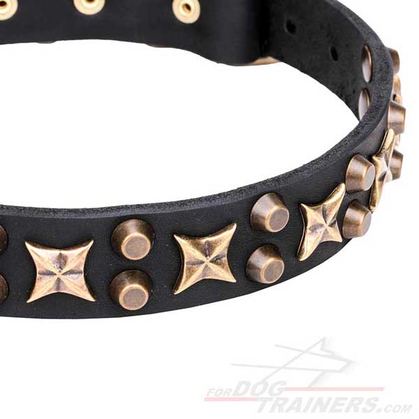 Designer Dog Collar with Brass Plated Decorations