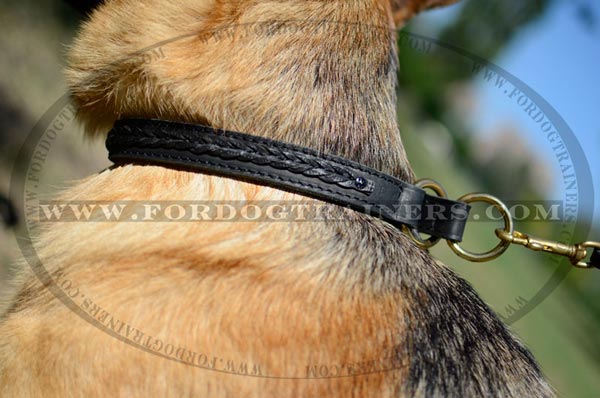 Brass Rings on Choke Dog Collar