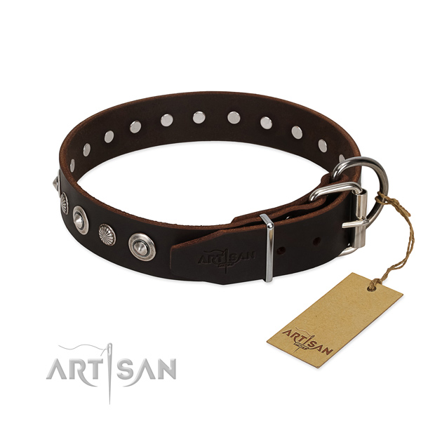 Tan Leather Dog Collar with Riveted Fittings