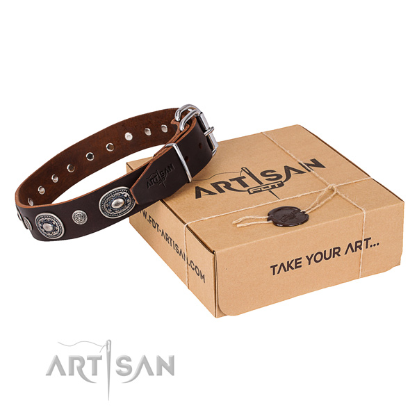 Fashionable brown leather dog collar