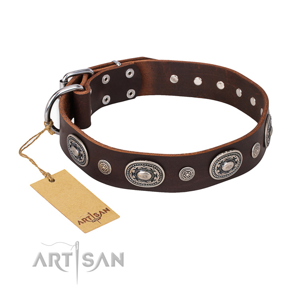 Brown leather dog collar with fancy decorations