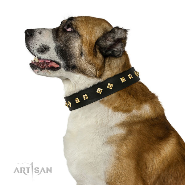 Central Asian Shepherd handy use dog collar of fine quality leather