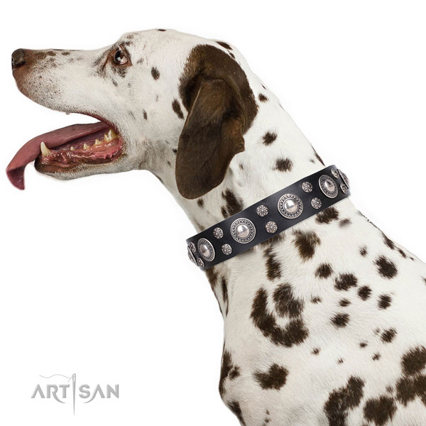Dalmatian top quality natural genuine leather dog collar with embellishments