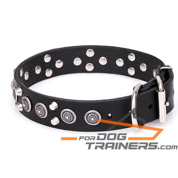 Decorated Dog Collar Made of Full Grain Genuine Leather