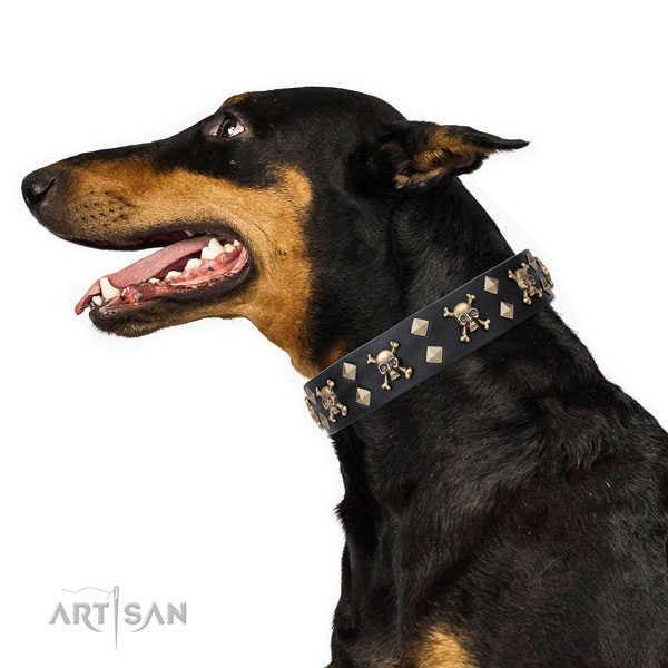 Doberman comfortable full grain genuine leather dog collar with adornments