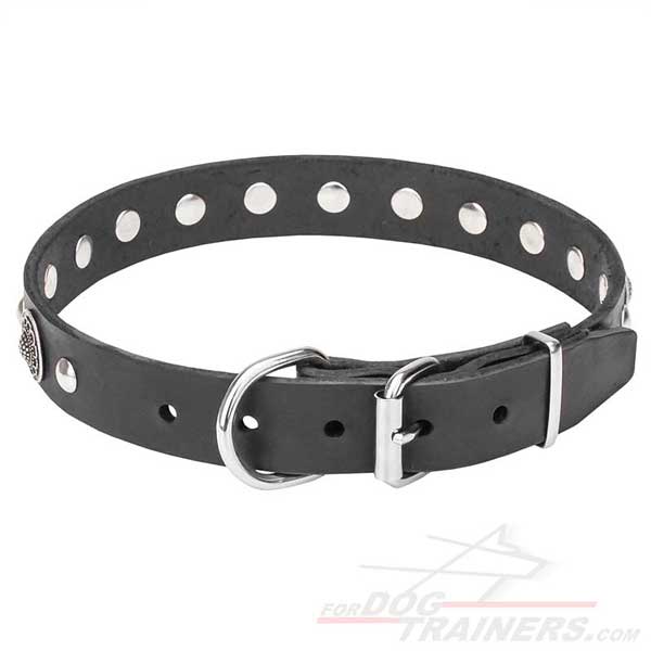 Durable Leather Dog Collar with Chrome Plated Hardware