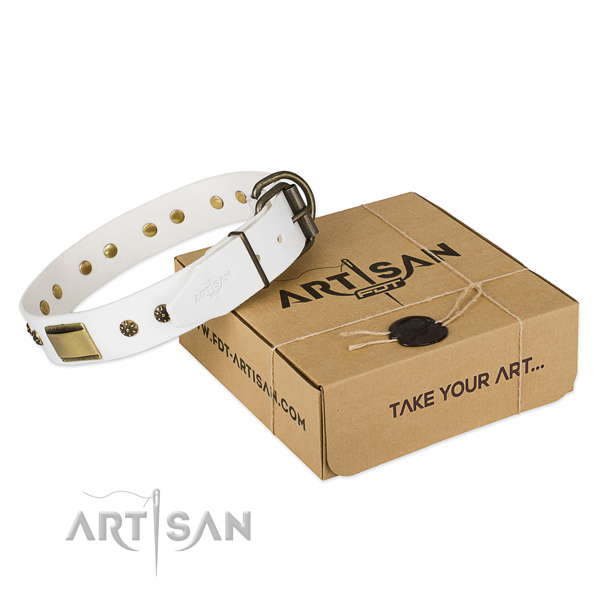 White Top Quality Dog Collar of Artisan Design