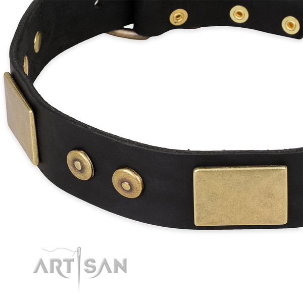 Decorative Leather Dog Collar of Black Color