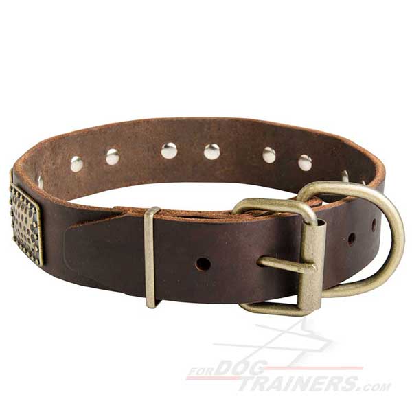 Unique Leather Cane Corso Collar with Strong Brass Fittings