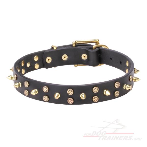 Top Quality Dog Collar with Unique Design