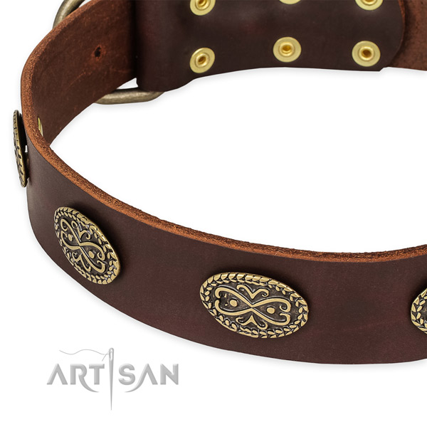 Brown Leather Dog Collar with Decorative Ovals