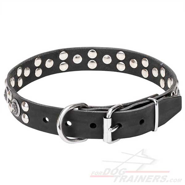 Dog Leather Collar with Chrome-plated Hardware