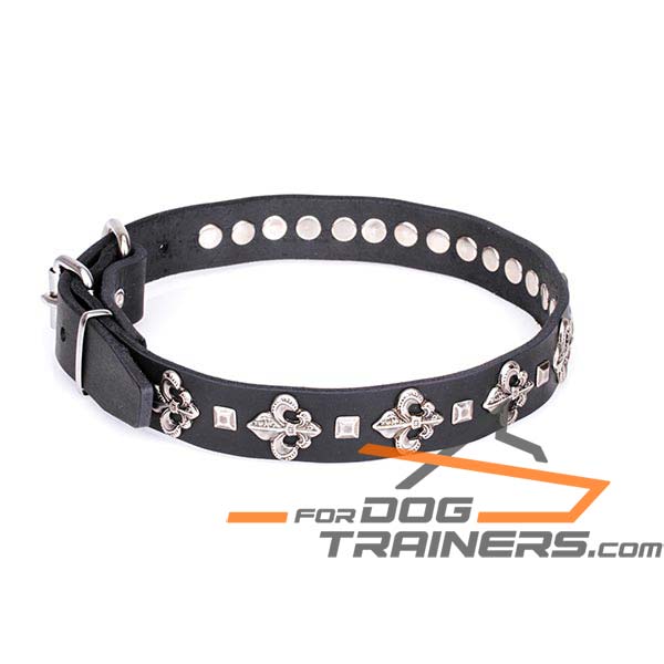 Dog Leather Collar for Daily Walking
