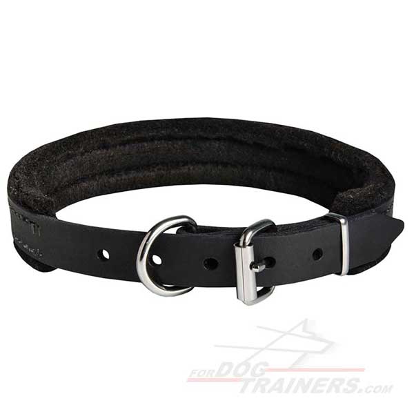 Leather Dog Collar with Strong Nickel Hardware for Training