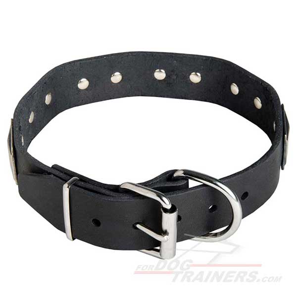 Leather Dog Collar Nickel with Plated Buckle and D-Ring