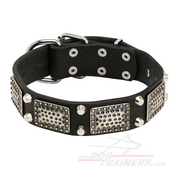 Walking Leather Dog Collar Nickel Plated Decor