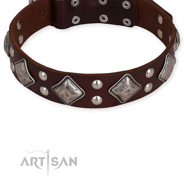 Decorated Leather Dog Collar with Rust-proof Fittings