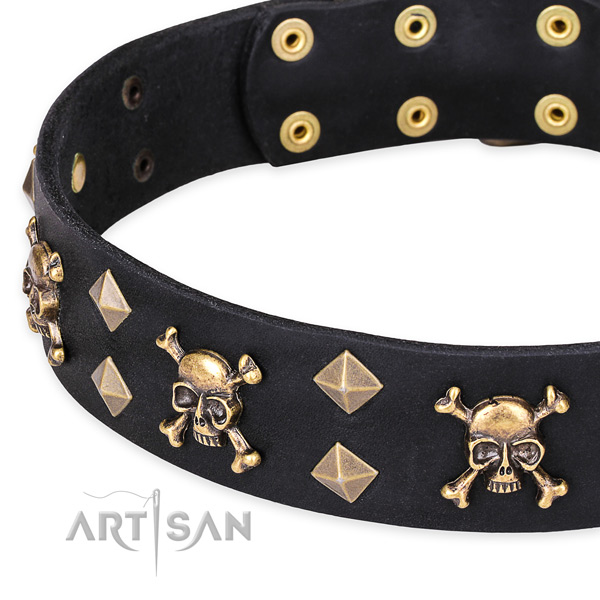 Black Top Quality Dog Collar with Incredible Design