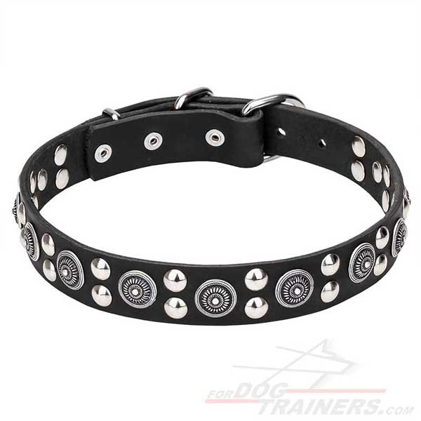 Dog Leather Collar with Large Circles and Studs