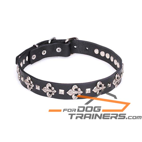 30 mm Dog Leather Collar with Silver-like Fittings
