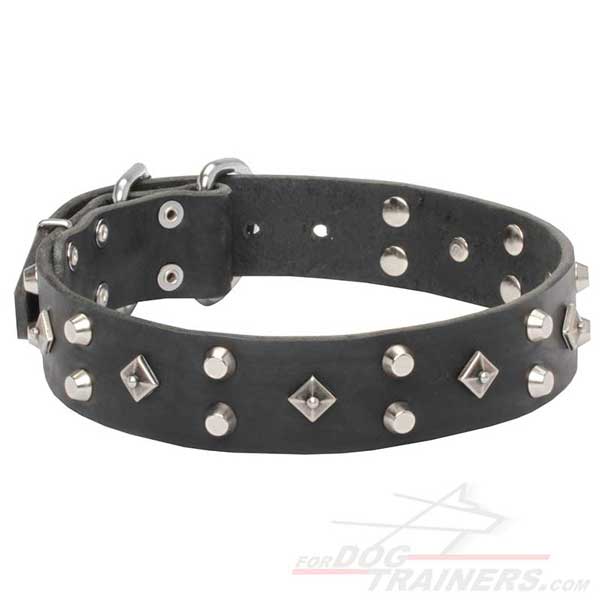 Dog Leather Collar Studded for Stylish Canines