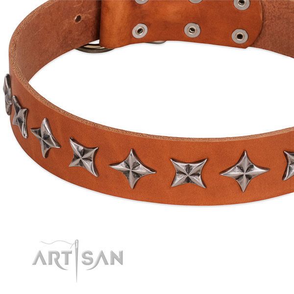 Decorative Leather Dog Collar for Safe Walking