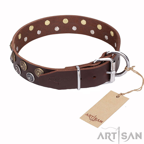 Brown Leather Dog Collar with Round Decorations and Strong Hardware