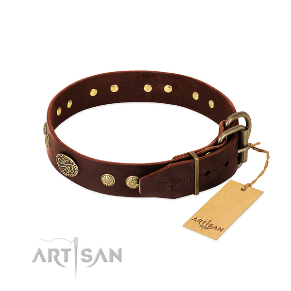Brown Leather Dog Collar with Old Bronze Look Fittings