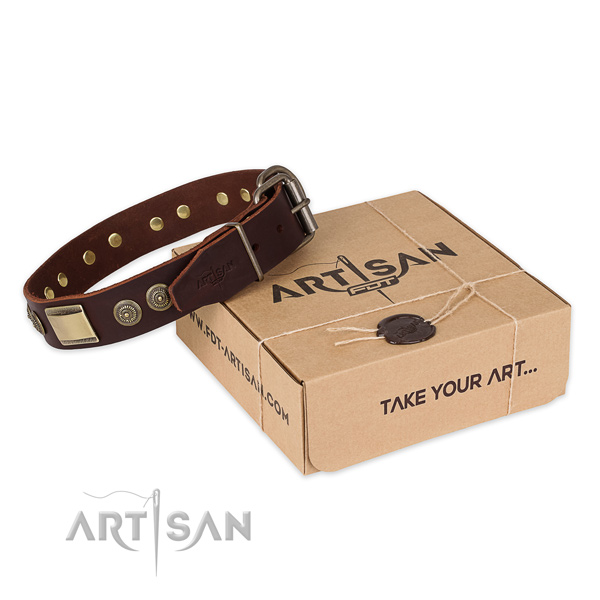 Stylish Dog Collar with Bronze Decor