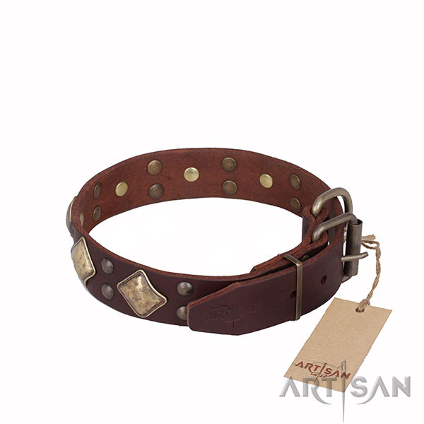 Brown Leather Dog Collar with Nice Hardware