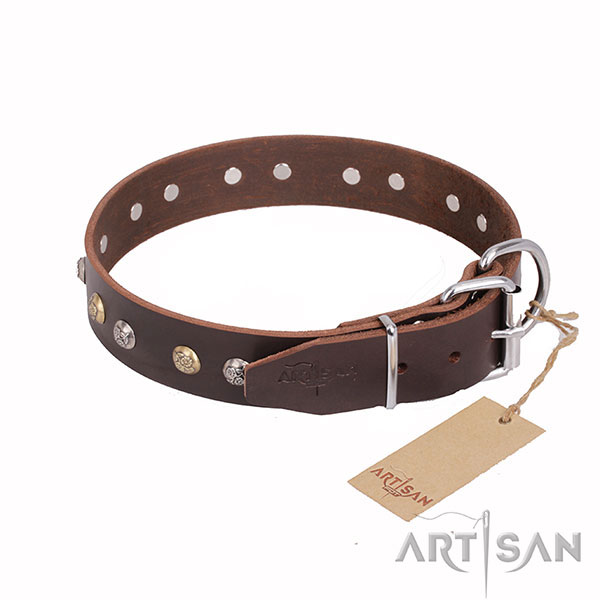 Brown Leather Dog Collar with Shiny Fittings